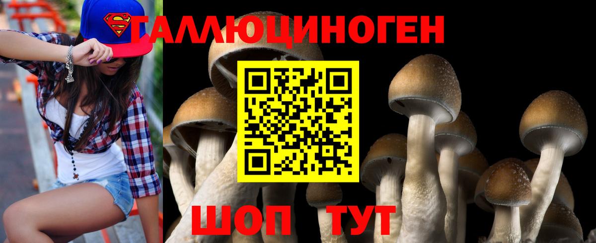 наркота  Псилоцибиновые грибы Psilocybe  Алейск  Вход с VPN  Псилоцибиновые грибы Psilocybe 